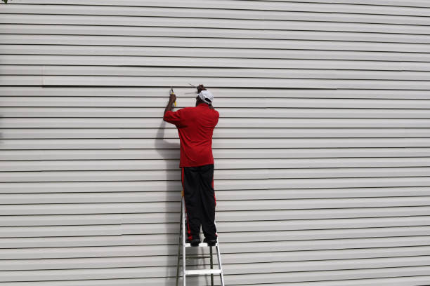 Best Custom Trim and Detailing for Siding  in Ludington, MI