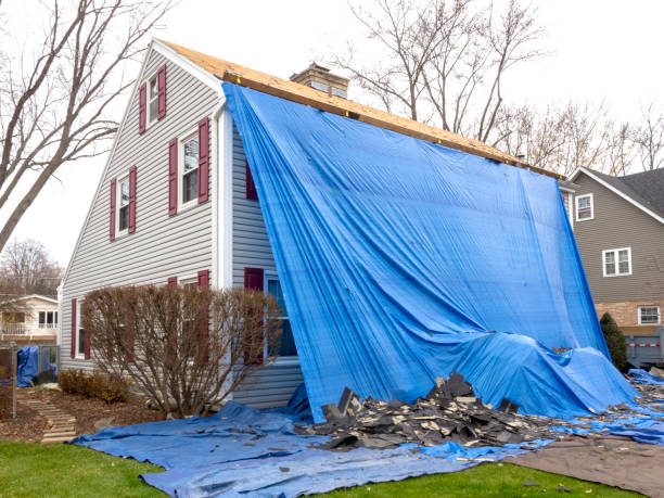 Best Siding Repair  in Ludington, MI