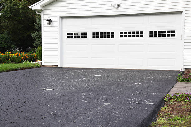 Best Siding Painting and Refinishing  in Ludington, MI
