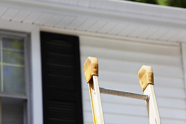 Best Weatherproofing and Sealing  in Ludington, MI