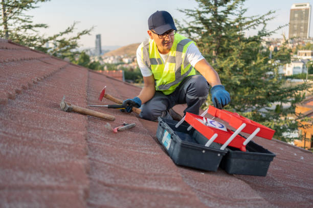 Best Fiber Cement Siding Installation  in Ludington, MI
